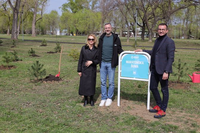 Beogradski maraton, Maratonska šuma, park prijateljstva Ušće