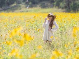 proleće horoskop zodijak