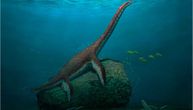 Nova vrsta pleziosaurusa pronađena u Nemačkoj