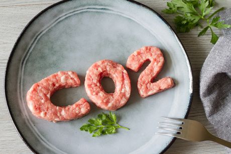 CO2 na tanjiru CO2 na tanjiru
