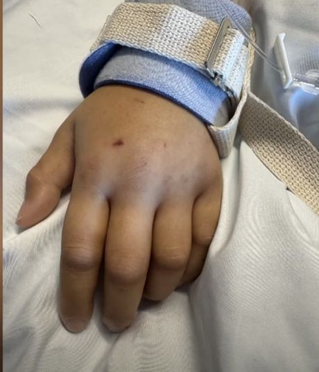 Andy Willingham Andy Willingham