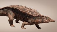 Tenk iz doba trijasa: Identifikovan novi, zastrašujući predak krokodila