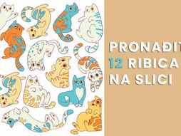 Pronađite 12 ribica mozgalica