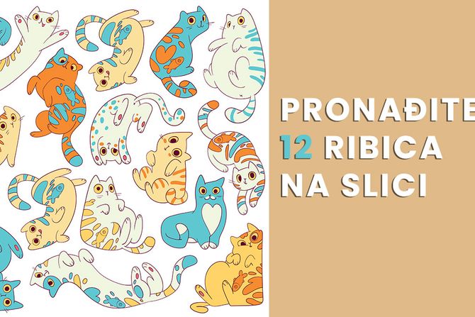 Pronađite 12 ribica mozgalica