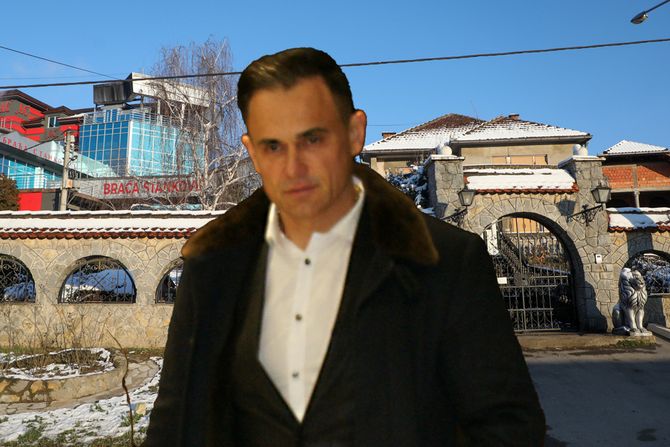 Dragan Stanković Dragan Stanković