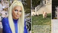 Jelena Karleuša usvojila još jednog psa, a njegova priča nateraće vas da zaplačete: "Dobrodošao, Omega"