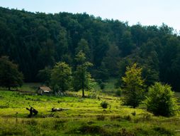 Homoljske planine, Srbija