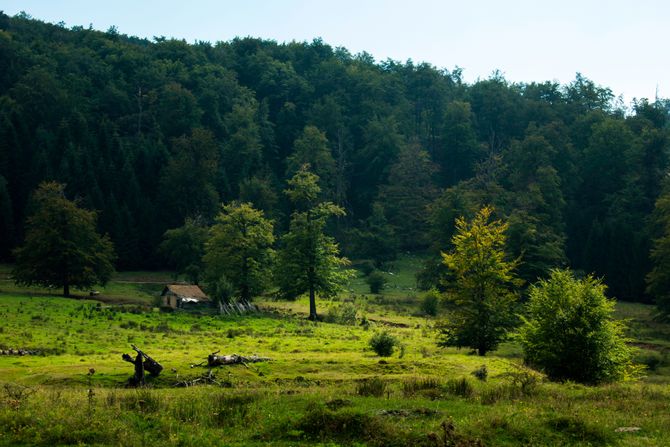 Homoljske planine, Srbija