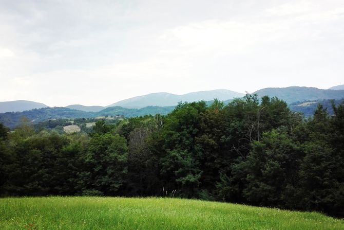 Homoljske planine, Srbija