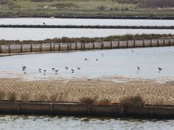 Hrvatska, Vransko jezero
