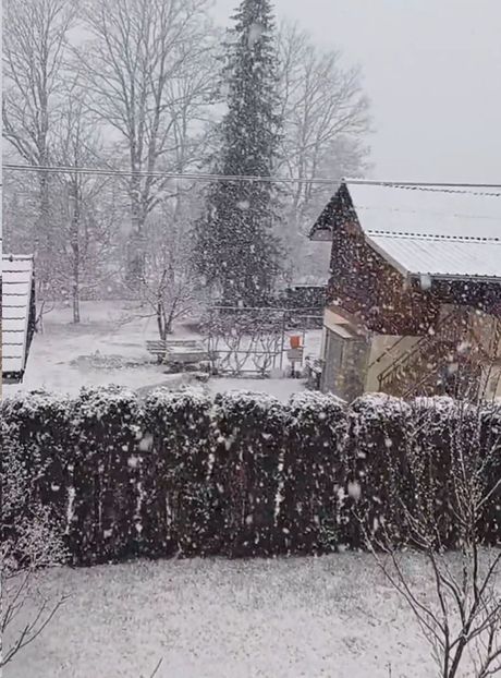 Sneg, Zlatibor