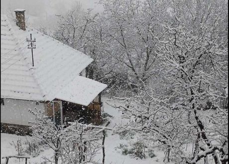 Zima, Zlatibor