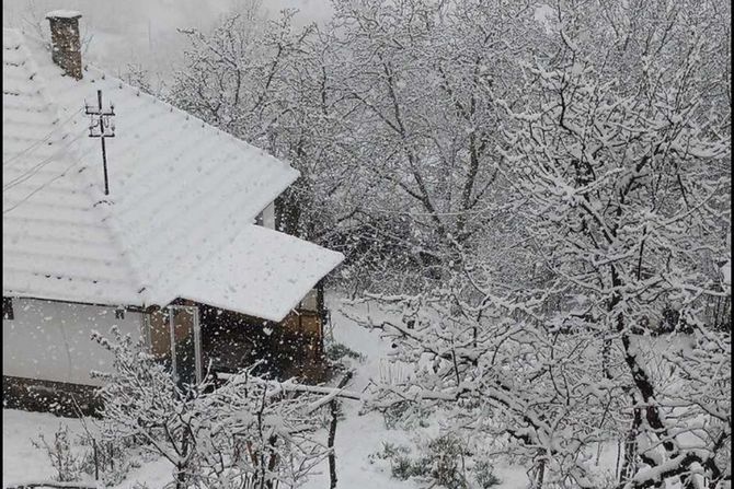 Zima, Zlatibor