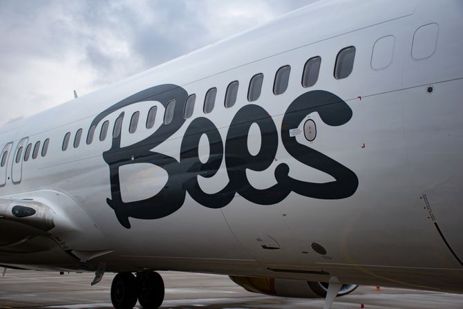 Bees Airlines