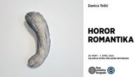 Izložba “Horor romantika” Danice Tešić u Domu omladine