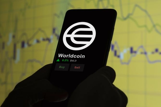 Worldcoin, Vorldkoin