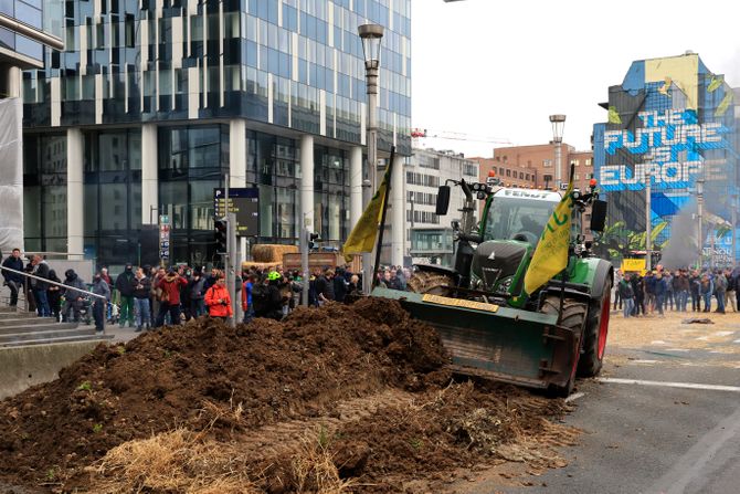 Brisel, protest, poljoprivrednici