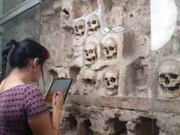 Ćele-kula Bitka na Čegru