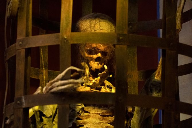 Kostur kavez Kostur kavez