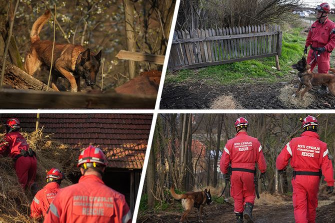 Mup, Pas Zigi potraza nestala devojčica Danka Ilić Banjsko Polje