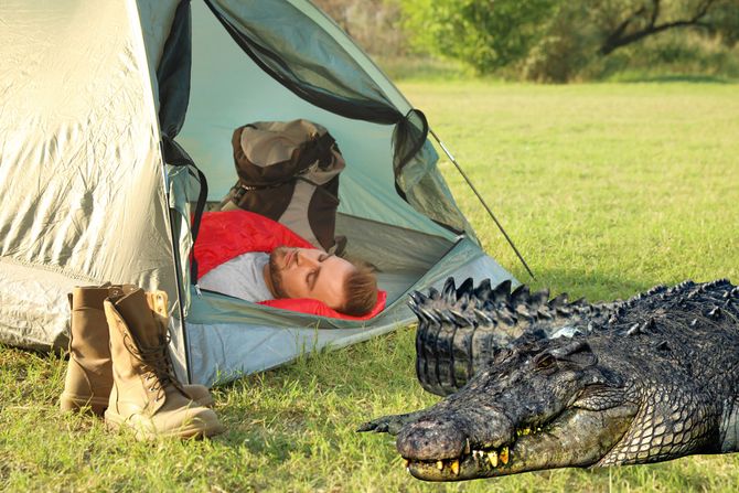 Turista krokodil Turista krokodil