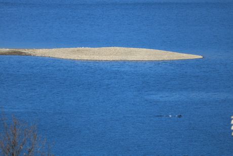 Borsko jezero nestala Danka Ilić potraga