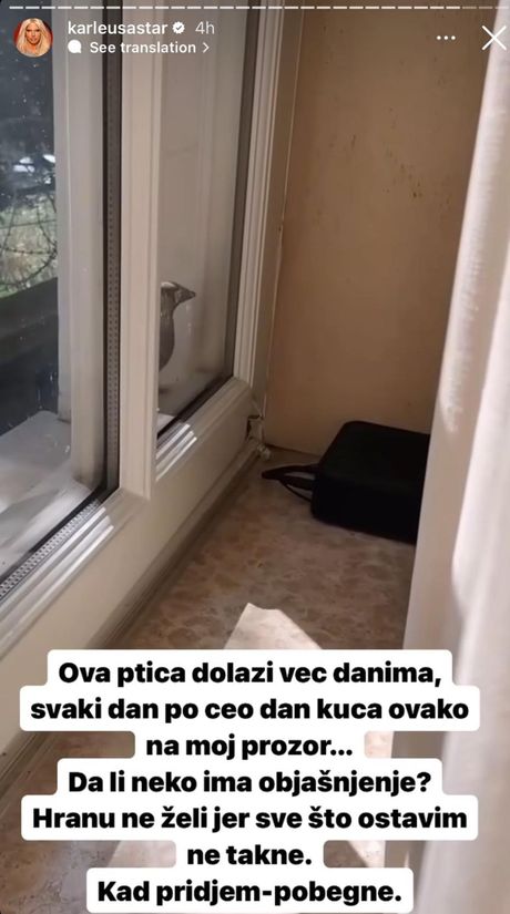 Jelena Karleuša Jelena Karleuša