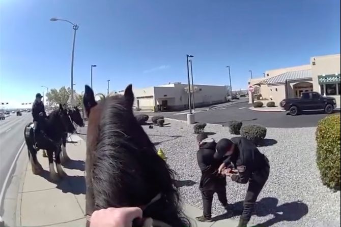 Policajci na konjima uhapsili lopova Policajci na konjima uhapsili lopova