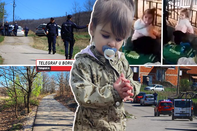 Bor Banjsko polje, nestala Danka Ilić potraga Bor Banjsko polje, nestala Danka Ilić potraga