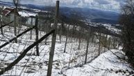 U ovom delu Srbije u petak pao sneg, formirao pokrivač: Poljoprivrednici u strahu od posledica