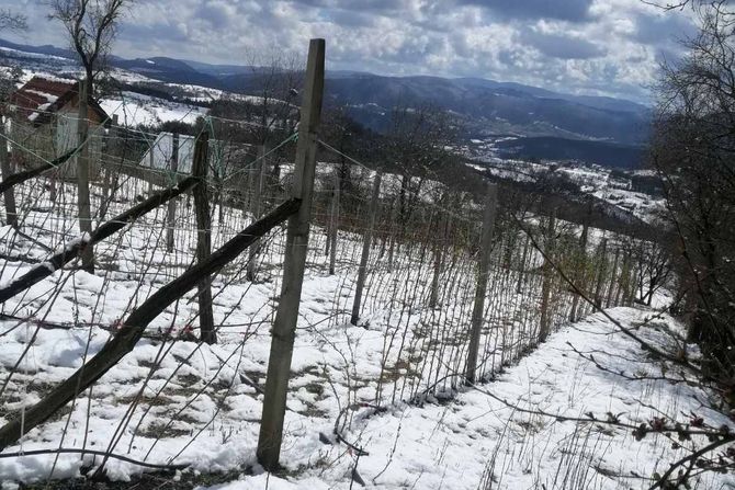 Srbija sneg  Momčilo Ćirović, iz sela Negbina, nedaleko od Nove Varoši