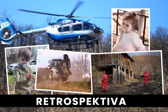 Nestala Danka Ilić, RETROSPEKTIVA