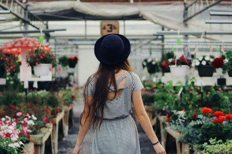 cveće proleće devojak pijaca horoskop zodijak cveće proleće devojak pijaca horoskop zodijak