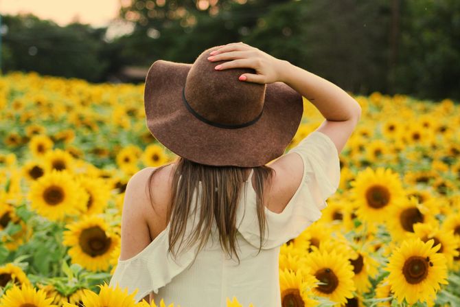 sveće suncokreti horoskop zodijak sveće suncokreti horoskop zodijak