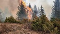 Lokalizovan požar kod Prijepolja: Vatru razbuktavao jak vetar, gasilo je čak 40 vatrogasaca