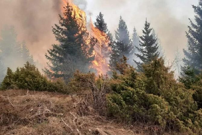 Požar Prijepolje Borovača Borovačka šuma