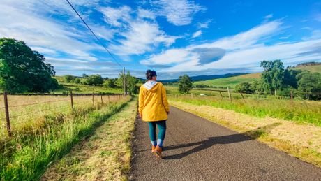 Allora Dannon Campbell