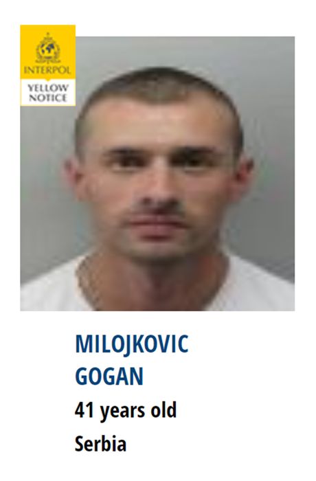 Interpol nestali Srbija potraga Interpol nestali Srbija potraga