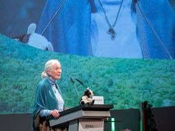 Jane Goodal Džejn Gudal