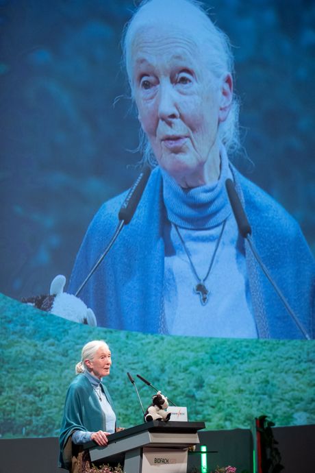 Jane Goodal Džejn Gudal