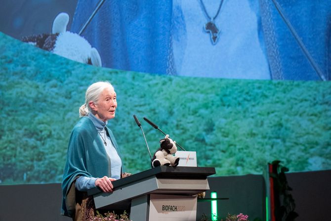 Jane Goodal Džejn Gudal