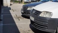 Verovali ili ne! Beograđanin zbog parking "barijere" jutros ostao bez više od 10.000 dinara