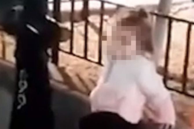 Beč devojčica koja liči na Danku Danka Ilić blur Beč devojčica koja liči na Danku Danka Ilić blur