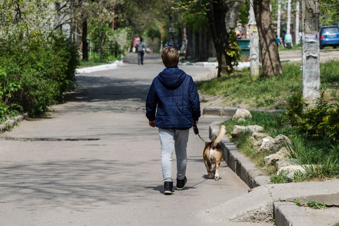 Dečak šeta psa Dečak šeta psa