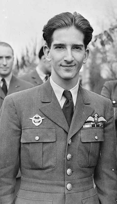 Vazduhoplovstvo Vojske Kraljevine Jugoslavije, Kralj Petar