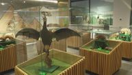 Nekada stara seoska škola, a sada Prirodnjački muzej u srcu Kablara: Ovde izložena i najbrža ptica na svetu