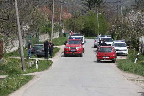 Selo Zlot, Potraga za Dankom Ilić