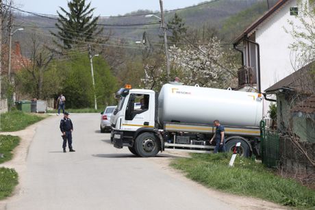 Selo Zlot, Potraga za Dankom Ilić