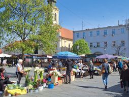 Zemun, pijaca