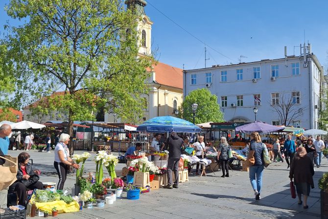 Zemun, pijaca